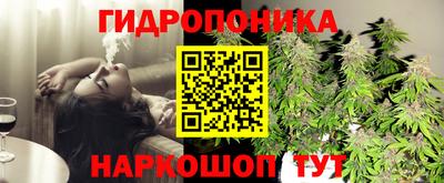 ГАЛЛЮЦИНОГЕННЫЕ ГРИБЫ Нарткала