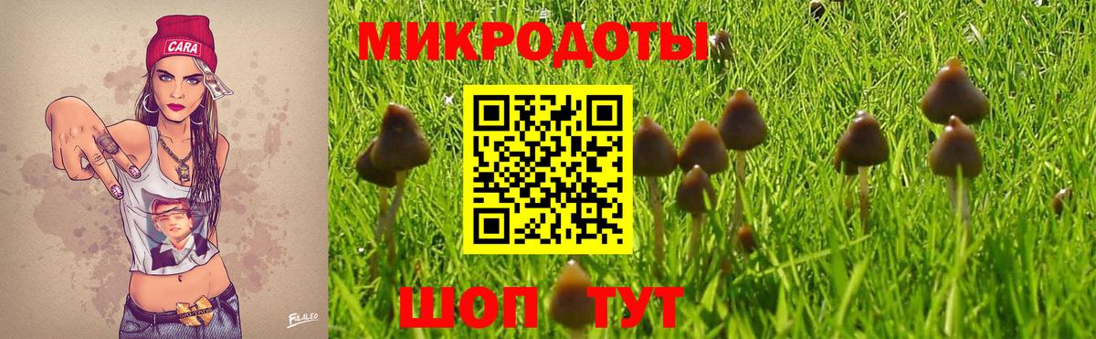 Элиста  Галлюциногенные грибы Cubensis  Вход с VPN 