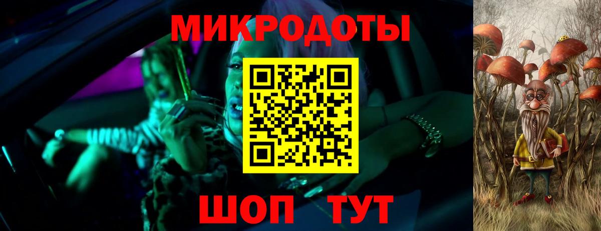 Псилоцибиновые грибы Psilocybe Элиста