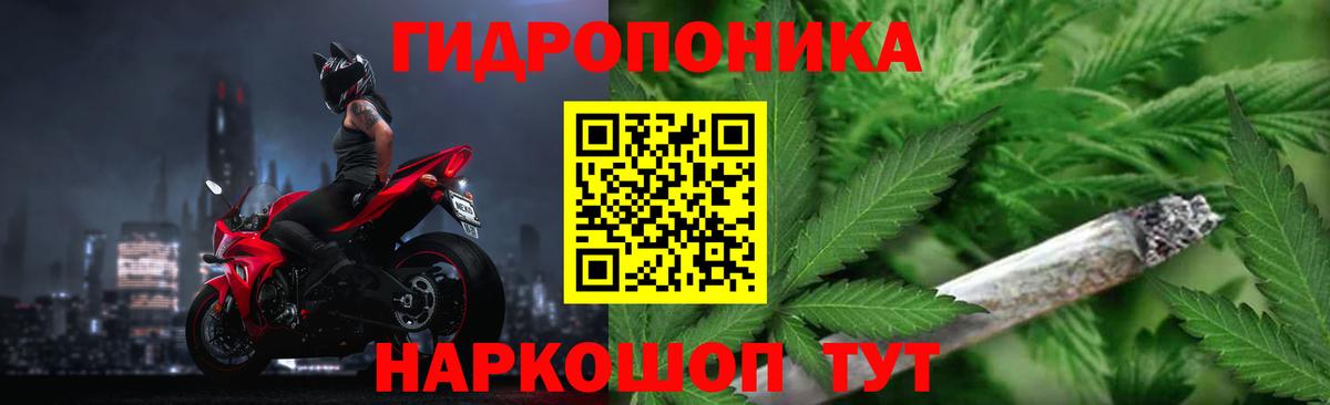 Бошки Шишки ГИДРОПОН  МАРИХУАНА Ganja  Элиста  Марихуана планчик  Вход с VPN 